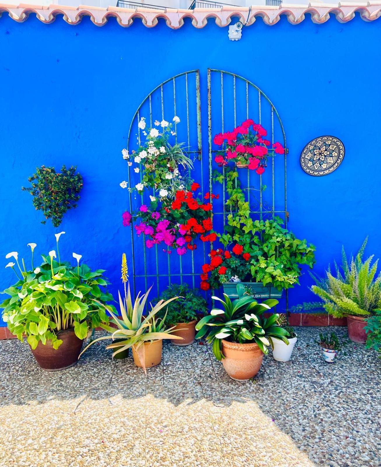 Hostal El Faro Chipiona Esterno foto